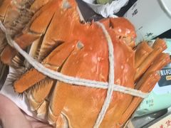 -黄记大闸蟹专卖店·活蟹·醉蟹