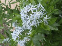 -黑龙江省森林植物园