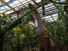 -呀路古热带植物园