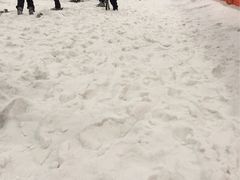 -绍兴启迪乔波冰雪世界