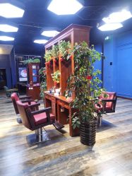 -东晨宝格丽品质造型