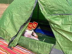 -汉长安城未央宫国家考古遗址公园