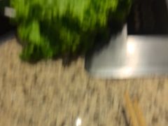 -丰茂烤串(卫星广场店)