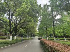 -徽园