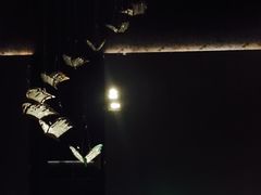 -璞·澐间影院式足道SPA(尚悦湾店)