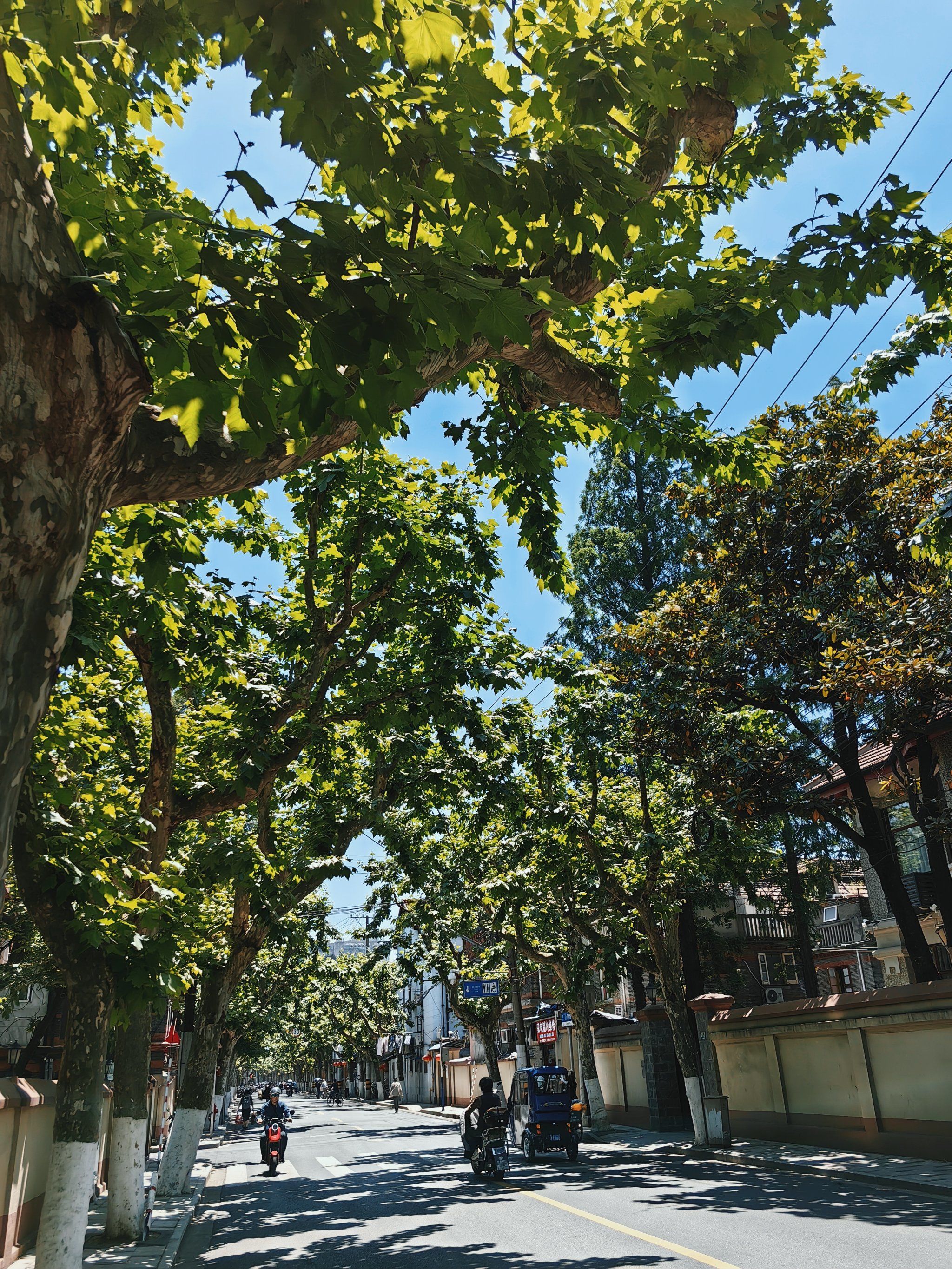 山阴路的夏天