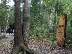 -汤旺河林海奇石景区