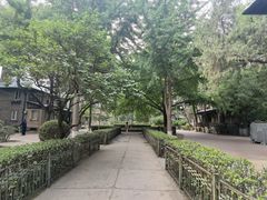 -北京协和医院(东单院区)