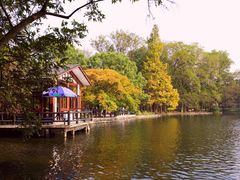 -共青国家森林公园-售票处