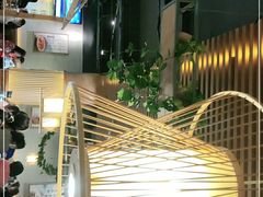 -探窝·竹笙椰子鸡(杨箕店)