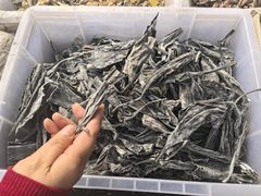 -大连双兴商品城