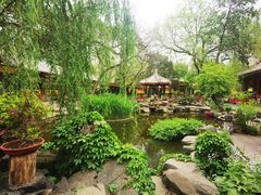 -白家大院·王府宫廷菜(苏州街店)