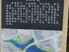 -琴亭湖公园