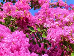 -杭州城北体育公园