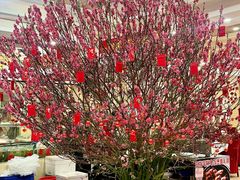 -螺涌海鲜酒楼(增槎路店)