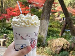 -茶颜悦色(岳麓山顶店)