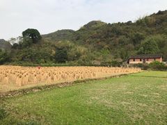 -上甘棠村