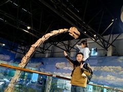 -自贡恐龙博物馆