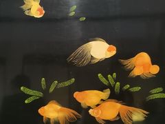 -福建省非物质文化遗产博览苑