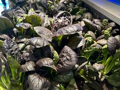 -呷湘厨·鱼汤捞饭·剁椒鱼头·辣椒炒肉(国家会展中心店)