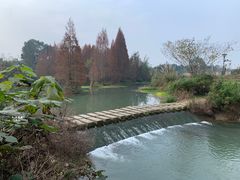 -桤木河湿地公园