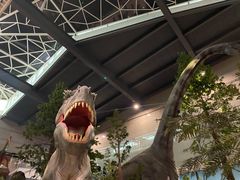 -湖南省地质博物馆