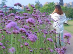 -杭州城北体育公园