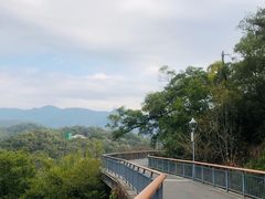 -金鸡山公园