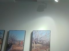 -瓦国小镇·果木烤鸭·融合菜(西口店)