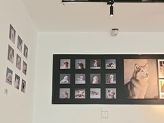 -海石湾餐厅·清真Traveler(滨江道店)