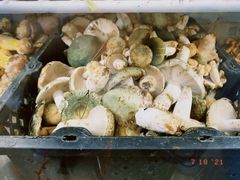 -双喜农庄·菌香园(安居家园店)