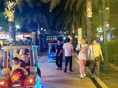 -三亚海昌梦幻海洋不夜城