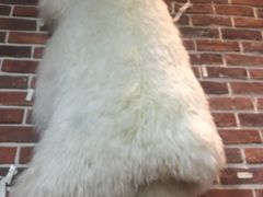 -陇上全荟兰州传统牛肉面(延吉路店)