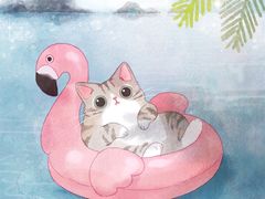 -芜湖白金汉爵大酒店