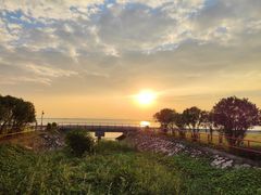 -芒洲湿地公园