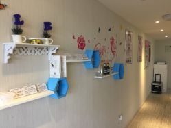 -净妍美肌专业净毛嫩肤连锁机构