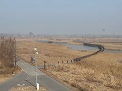 -盐城丹顶鹤湿地生态旅游区