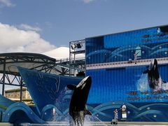 -上海海昌海洋公园