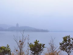 -柳莺湖上·湖景餐厅·江南菜(西湖店)