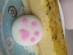 萌喵咖啡屋-萌喵宠狗爱心宠咖