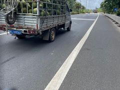 -东郊椰林