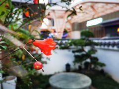 -道南書院·私房菜·早午茶·茶馆