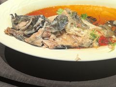 -百富源·海鲜辽菜(张士店)