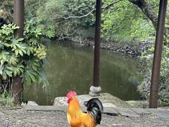 -木子山庄·安徽省老字号·中国炖锅宴