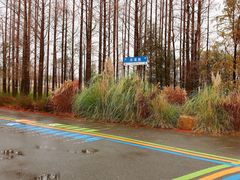 -上海长兴岛郊野公园