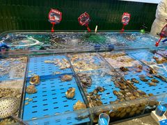 -双合园·海鲜水饺青岛菜(九水东路店)