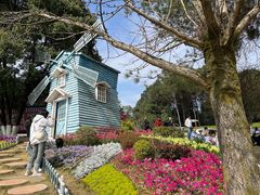 -铁山坪森林公园