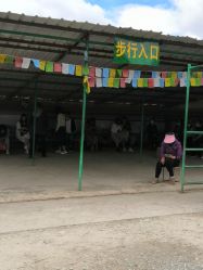 -纳帕海依拉草原
