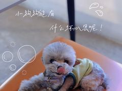 -FAELING PETS美天灵宠物(富力广场店)