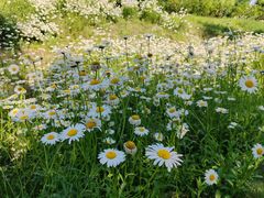 -汉长安城未央宫国家考古遗址公园